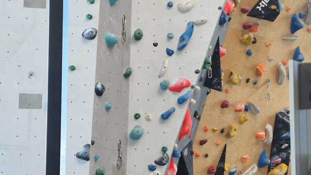 Detailblick auf die Kletterfläche